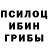 Псилоцибиновые грибы мухоморы GrigoriyVakar