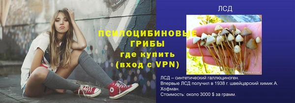ГАЛЛЮЦИНОГЕННЫЕ ГРИБЫ Балахна
