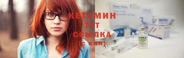 шишки Слюдянка