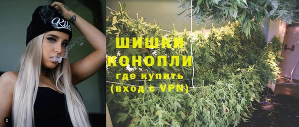 прущие грибы Балабаново