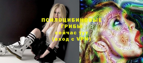 прущие грибы Балабаново