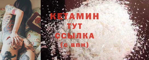 прущие грибы Балабаново