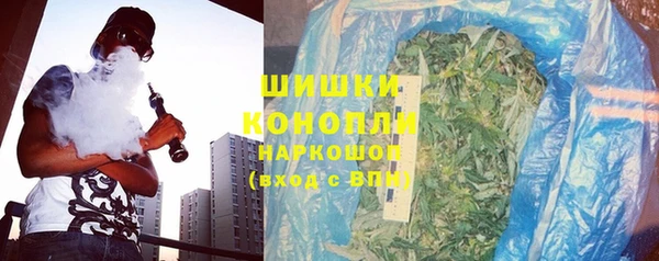 прущие грибы Балабаново