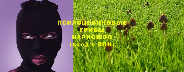 ГАЛЛЮЦИНОГЕННЫЕ ГРИБЫ Балахна